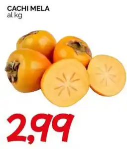 Hardis Cachi mela offerta