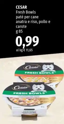 Famila Superstore Cesar Fresh Bowls patè per cane anatra e riso, pollo e carote offerta