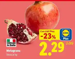 Lidl Melagrana offerta