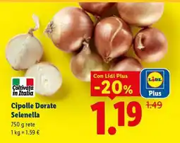 Lidl Cipolle Dorate Selenella offerta