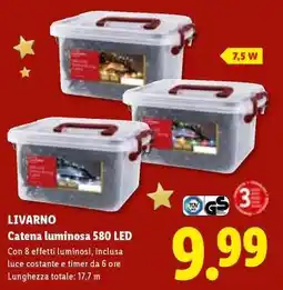 Lidl LIVARNO Catena luminosa 580 LED offerta