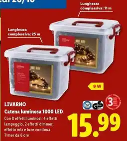 Lidl LIVARNO Catena luminosa 1000 LED offerta