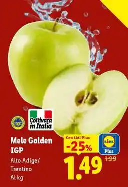 Lidl Mele Golden IGP offerta