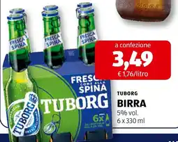 ALDI Tuborg Birra offerta