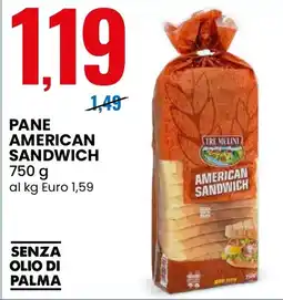Eurospin Pane American Sandwich Tre Mulini offerta