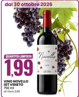 Eurospin Vino Novello IGT Veneto offerta