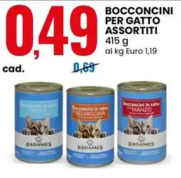 Eurospin Bocconcini per gatto assortiti Radames offerta