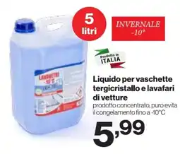 In'S Mercato Liquido per vaschette tergicristallo e lavafari di vetture offerta