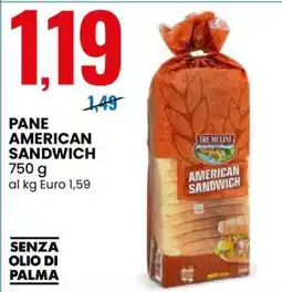 Eurospin PANE AMERICAN SANDWICH offerta