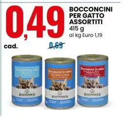 Eurospin BOCCONCINI PER GATTO ASSORTITI offerta