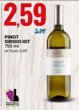 Eurospin PINOT GRIGIO IGT offerta