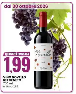 Eurospin VINO NOVELLO IGT VENETO offerta