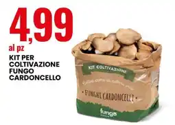 Eurospin KIT PER COLTIVAZIONE FUNGO CARDONCELLO offerta