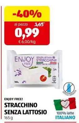ALDI ENJOY FREE! STRACCHINO SENZA LATTOSIO offerta