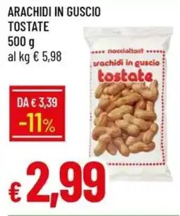 Galassia nocciolettost arachidi in guscio tostate offerta