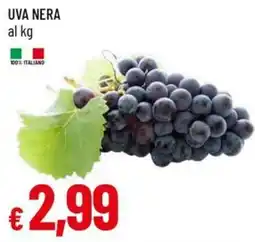 Galassia Uva nera offerta