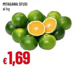 Galassia Miyagawa sfusi offerta