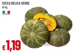 Galassia Zucca delica verde offerta