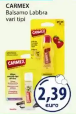 Acqua & Sapone Carmex Balsamo Labbra offerta