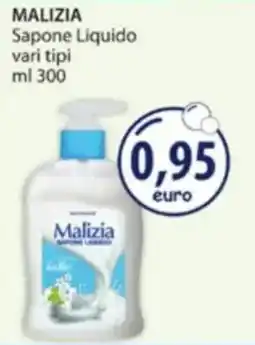 Acqua & Sapone Malizia Sapone Liquido offerta