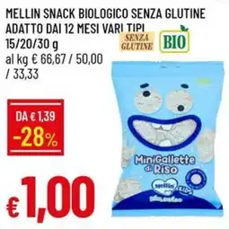 Galassia MiniGallette di Riso Mellin Kids offerta
