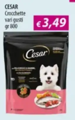 Acqua & Sapone Cesar Crocchette vari gusti offerta