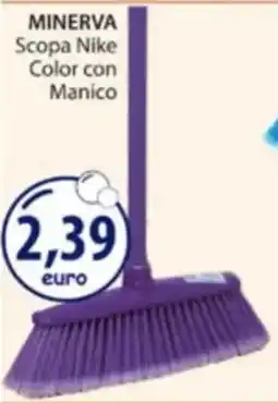 Acqua & Sapone Scopa Nike Color con Manico offerta