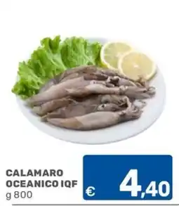 ARCA C+C cash and carry Calamaro oceanico IQF offerta