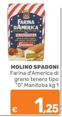 ARCA C+C cash and carry Farina d'America di grano tenero tipo "0" Manitoba offerta