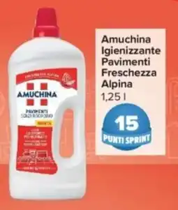 Carrefour Express Amuchina Igienizzante Pavimenti Freschezza Alpina offerta