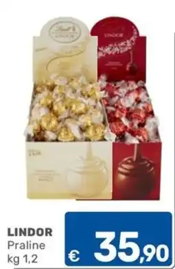 ARCA C+C cash and carry Lindor Praline offerta