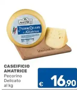 ARCA C+C cash and carry Pecorino Delicato di Amatrice offerta