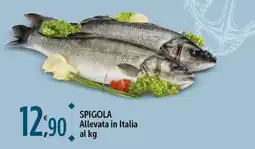 Rossotono Carrefour Spigola offerta