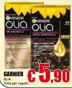 Casalandia Garnier Olia Tinta per capelli offerta