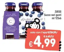 Rossotono Carrefour Succo vari gusti ZUEGG offerta