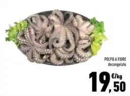Conad Superstore Polpo a fiore decongelato offerta