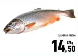 Conad Superstore Salmerino fresco offerta