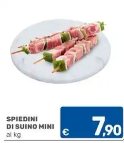 ARCA C+C cash and carry Spiedini di suino mini offerta