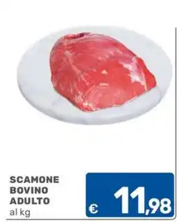 ARCA C+C cash and carry Scamone bovino adulto offerta
