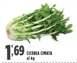 Rossotono Carrefour Cicoria cimata offerta