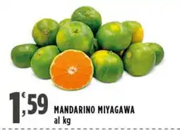 Rossotono Carrefour Mandarino Miyagawa offerta