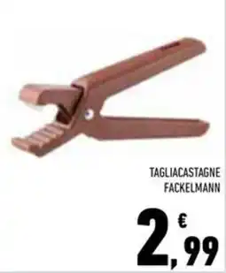 Conad Superstore Tagliacastagne Fackelmann offerta