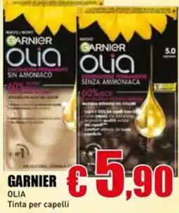 Casalandia Garnier Olia Tinta per capelli offerta