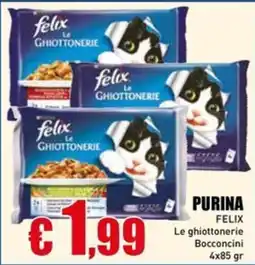 Casalandia Purina Felix Le Ghiottonerie Bocconcini offerta