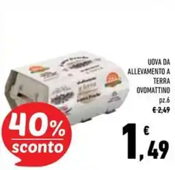 Conad Superstore Uova da allevamento a terra ovomattino offerta