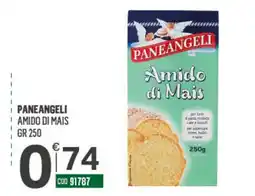 Tutto Risparmio Cash&Carry Paneangeli Amido di Mais offerta