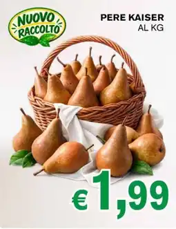 D'Italy Pere Kaiser offerta