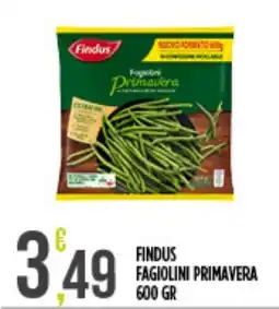 Supermercato Pollio Findus Fagiolini Primavera offerta