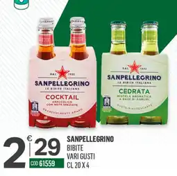 Tutto Risparmio Cash&Carry Sanpellegrino bibite vari gusti offerta