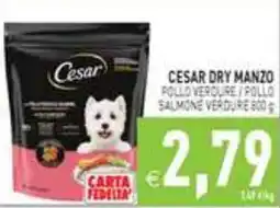 Supermercati Agorà Cesar Dry Manzo Pollo Verde / Pollo Salmone Verde offerta